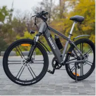 Bicicletă electrică NAKTO Ranger 250 W, 36V10ah Baterie litiu, cutie de viteze-6, 26 inch