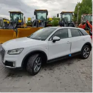 AUDI Q2L E-TRON (2020) 