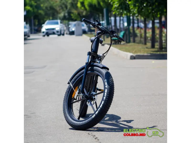 Bicicletă electrică NAKTO Direwolf 350 W, 48V10ah Baterie litiu, cutie de viteze-6 26 * 4.0 Fat Tire B