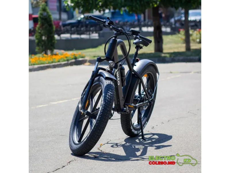 Bicicletă electrică NAKTO Direwolf 350 W, 48V10ah Baterie litiu, cutie de viteze-6 26 * 4.0 Fat Tire B