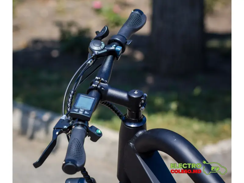 Bicicletă electrică NAKTO Direwolf 350 W, 48V10ah Baterie litiu, cutie de viteze-6 26 * 4.0 Fat Tire B