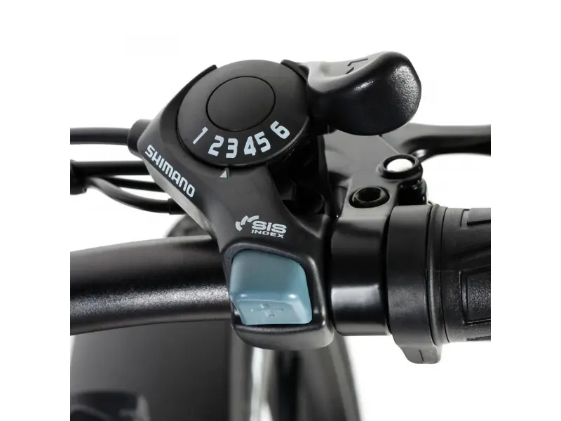 Bicicletă electrică NAKTO Direwolf 350 W, 48V10ah Baterie litiu, cutie de viteze-6 26 * 4.0 Fat Tire B