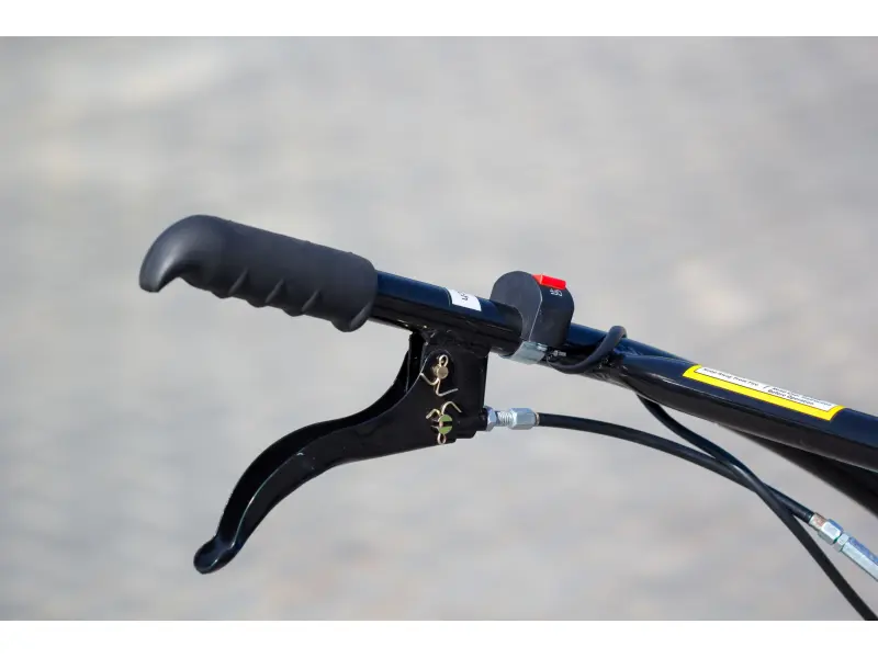 Motocultor Bizon DTZ470B 7 CP benzină, pormire manuala + freză. Lățimea de cultivare - 720 mm