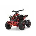 ATV-uri electrice