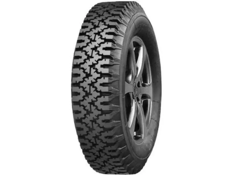 165/13 Altaishina  AI-168U зима