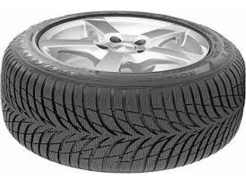 Goodride  205/55 R 16 SW 602 